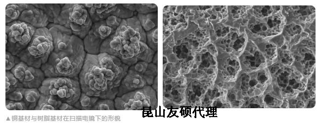 白沙蔡司白沙扫描电镜